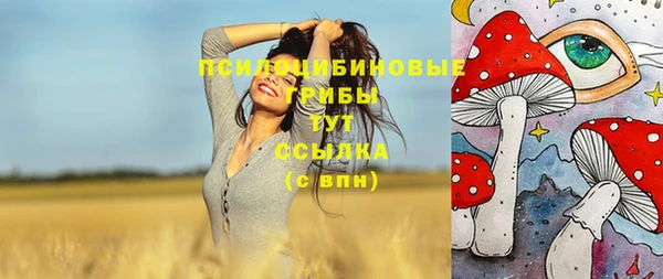 дурь Балахна